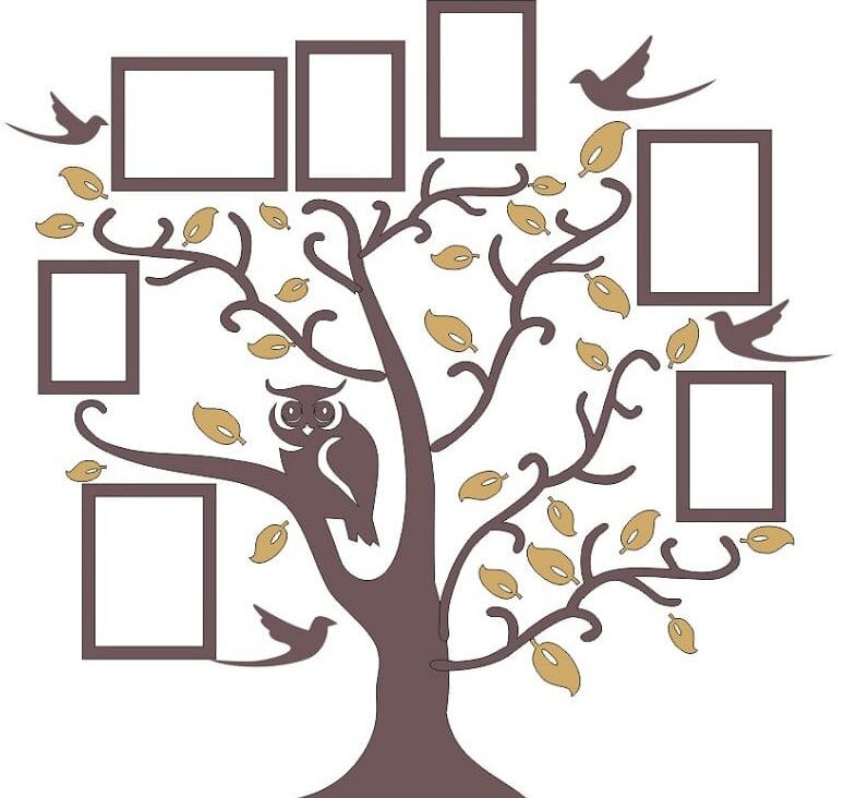 Intra απο ξύλο plywood 3mm-4mm πάχος – ξύλο οικογενειακής κορνίζας Owl On Tree Branch 25x25 cm INTRAVECTRY-MY558640