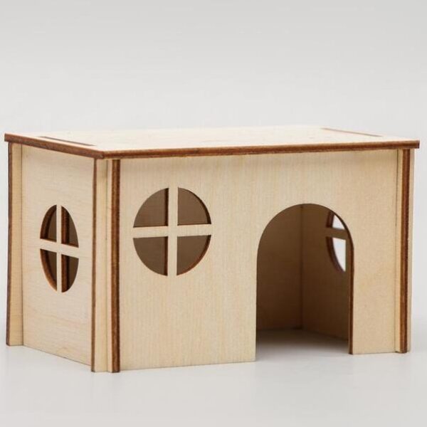 1759029999_rodents-house-with-flat-roof-_1