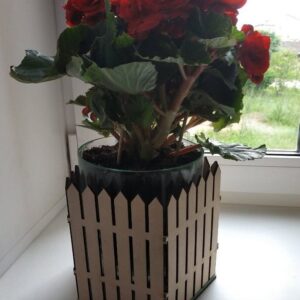 Intra απο ξύλο plywood 3mm-4mm πάχος – ξύλο ξύλινο κουτί φυτευτή 12x15 cm INTRAVECTRY-MY554966