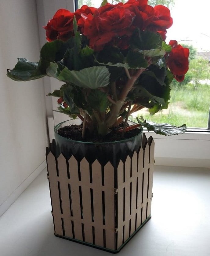 Intra απο ξύλο plywood 3mm-4mm πάχος – ξύλο ξύλινο κουτί φυτευτή 12x15 cm INTRAVECTRY-MY554966