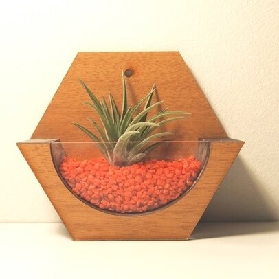 1759030704_wooden-florarium-vase-_1