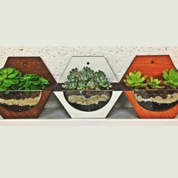 Intra απο ξύλο plywood 3mm-4mm πάχος – Ξύλινο Βάζο Florarium 40x40 cm INTRAVECTRY-MY555105 - Image 3