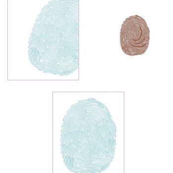 Intra απο ξύλο plywood 3mm-4mm πάχος – ξύλο δακτυλικών αποτυπωμάτων ξύλινο πάνελ τοίχου 12x15 cm INTRAVECTRY-MY555186 - Image 2