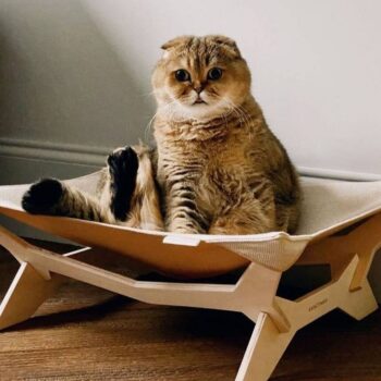 Intra απο ξύλο plywood 3mm-4mm πάχος – Ξύλινη λίμα κρεβατιού με αιώρα γάτας 10x10 cm INTRAVECTRY-MY555323 - Image 3