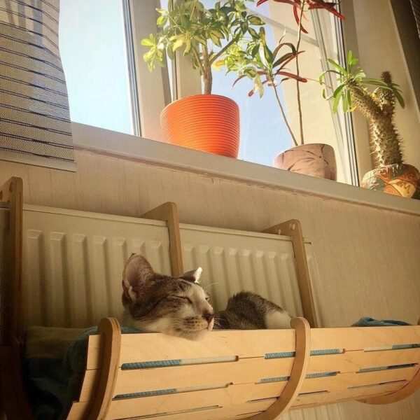 1759031326_wall-mounted-cat-bed-_1