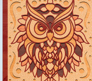 Intra απο ξύλο plywood 3mm-4mm πάχος – Owl Layerd Shadow Box Δίασταση  20x20 cm INTRAFABR-74990968