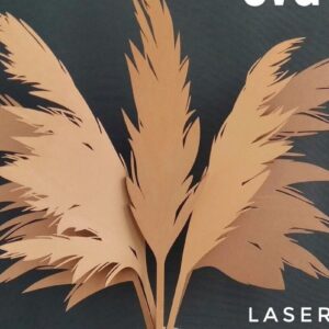Intra απο ξύλο plywood 3mm-4mm πάχος – Αρχείο κοπής με λέιζερ Pampas Grass Δίασταση  20x20 cm INTRAFABR-33676019