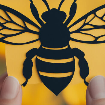 Intra απο ξύλο plywood 3mm-4mm πάχος – Paper Cut Bee Bundle Δίασταση  20x20 cm INTRAFABR-107608689 - Image 4