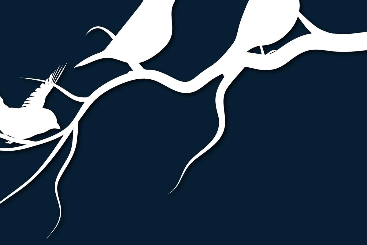 Intra απο ξύλο plywood 3mm-4mm πάχος – Χαρτί κομμένο πουλί σε ντεκόρ με κλαδιά δέντρου Δίασταση  20x20 cm INTRAFABR-68549453