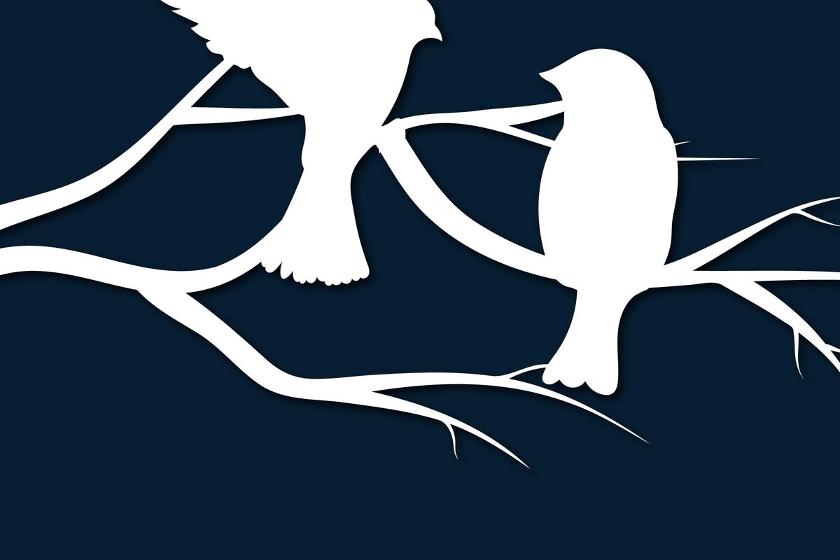 Intra απο ξύλο plywood 3mm-4mm πάχος – Χαρτί κομμένο πουλί σε ντεκόρ με κλαδιά δέντρου Δίασταση  20x20 cm INTRAFABR-68549620