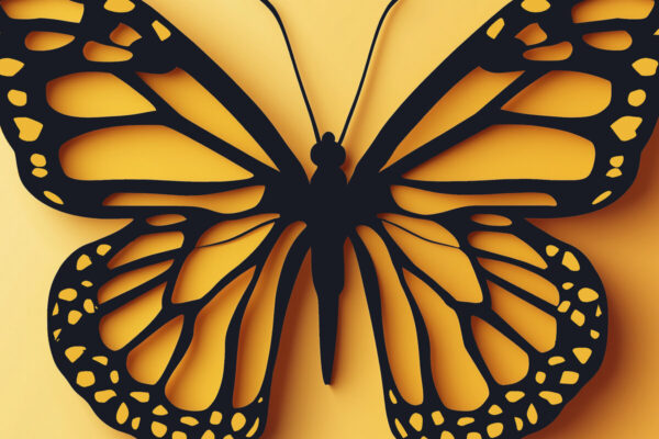 1759037981_Paper-Cut-Butterfly-SVG-Cut-File-Graphics-108159728-1-1