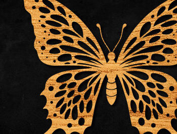 Intra απο ξύλο plywood 3mm-4mm πάχος – Paper Cut Butterfly Δίασταση  20x20 cm INTRAFABR-99896812 - Image 1