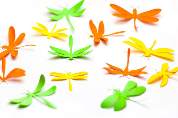 1759041437_Paper-Dragonfly-Graphics-25463190-1-1