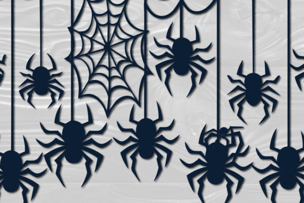 1759041909_Papercut-Hanging-Spider-Web-SVG-cut-file-Graphics-102660865-1-1
