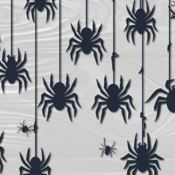 Intra απο ξύλο plywood 3mm-4mm πάχος – Papercut Hanging Spider Web Δίασταση 20x20 cm INTRAFABR-102661881 - Image 1