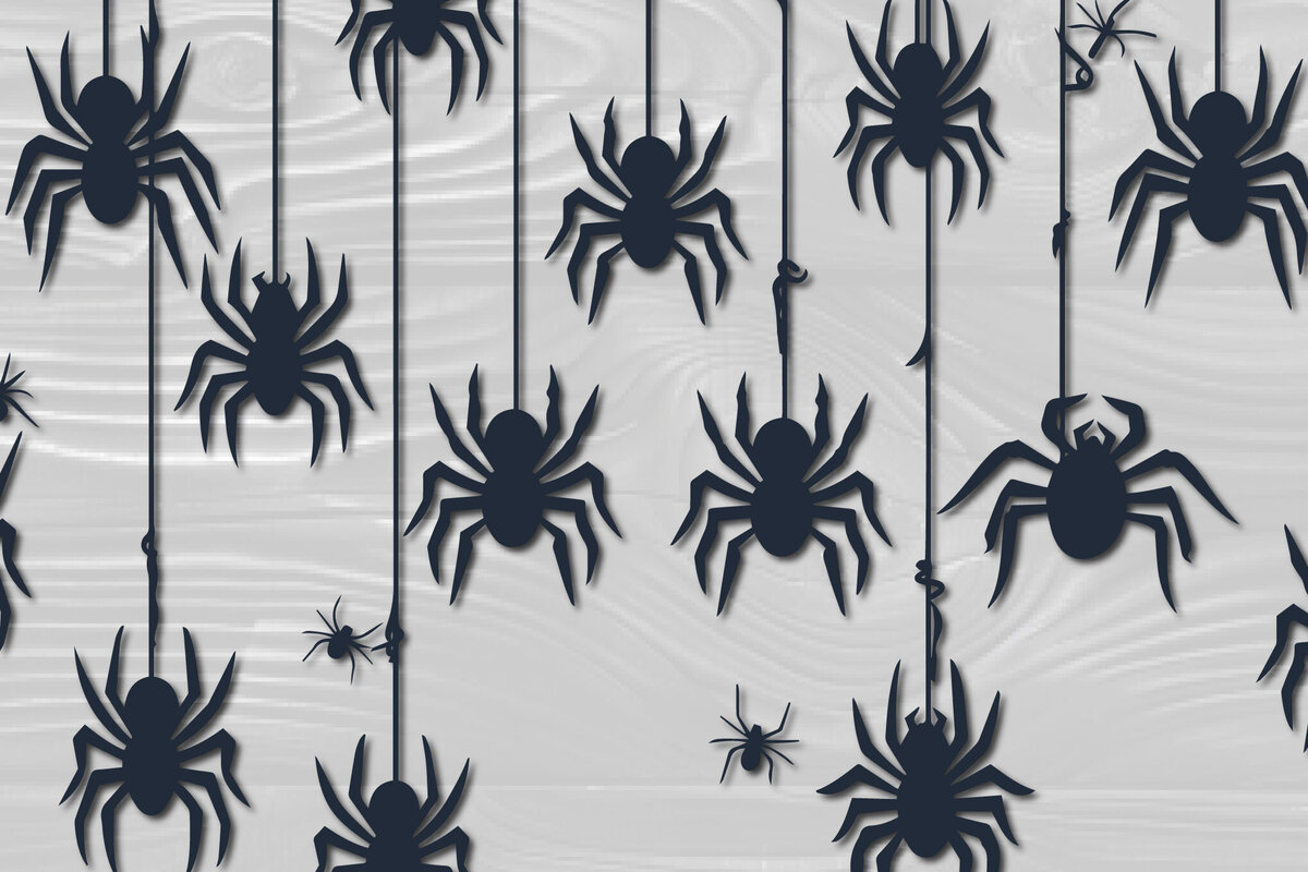 Intra απο ξύλο plywood 3mm-4mm πάχος – Papercut Hanging Spider Web Δίασταση  20x20 cm INTRAFABR-102661881