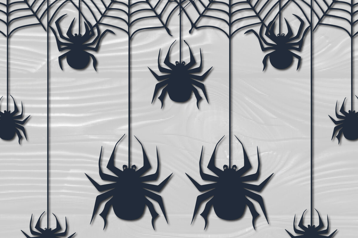 Intra απο ξύλο plywood 3mm-4mm πάχος – Papercut Hanging Spider Web Δίασταση  20x20 cm INTRAFABR-102667736