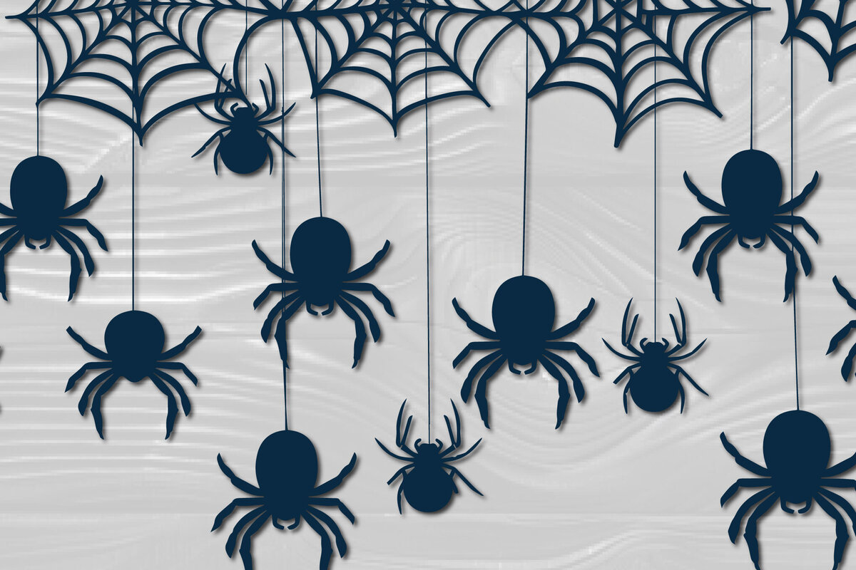 Intra απο ξύλο plywood 3mm-4mm πάχος – Papercut Hanging Spider Web Δίασταση  20x20 cm INTRAFABR-102659862