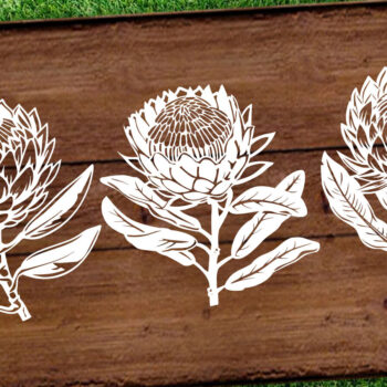 Intra απο ξύλο plywood 3mm-4mm πάχος – Χαρτόκοψη Protea Flower DXF Δίασταση  20x20 cm INTRAFABR-125441827 - Image 4