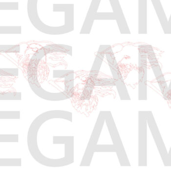 Intra απο ξύλο plywood 3mm-4mm πάχος – Patriotic Eagle 4th of July Layered Δίασταση  20x20 cm INTRAFABR-121965196 - Image 7