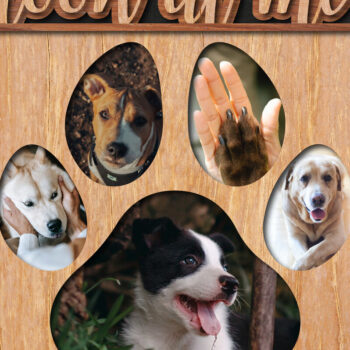 Intra απο ξύλο plywood 3mm-4mm πάχος – Paw Multilayer Photo Frame Σετ 2 τεμαχίων Δίασταση  45x45 cm INTRAFABR-25854299 - Image 3