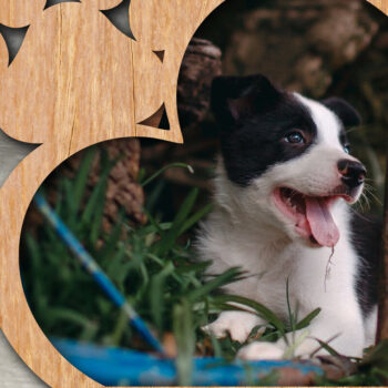 Intra απο ξύλο plywood 3mm-4mm πάχος – Paw Multilayer Photo Frame Σετ 2 τεμαχίων Δίασταση  45x45 cm INTRAFABR-25854299 - Image 4