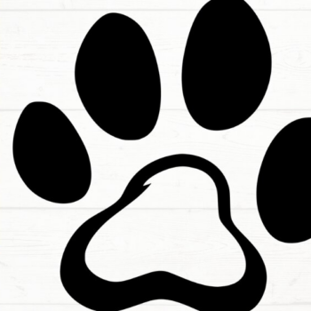 Intra απο ξύλο plywood 3mm-4mm πάχος – Paw Print, DXF, EPS, JPG, PNG Δίασταση 20x20 cm INTRAFABR-115721410 - Image 4