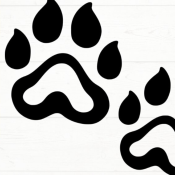 Intra απο ξύλο plywood 3mm-4mm πάχος – Paw Print, DXF, EPS, JPG, PNG Δίασταση 20x20 cm INTRAFABR-115721410 - Image 7