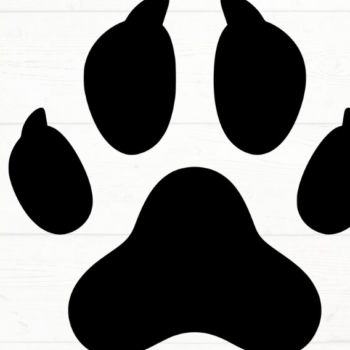 Intra απο ξύλο plywood 3mm-4mm πάχος – Paw Print, DXF, EPS, JPG, PNG Δίασταση 20x20 cm INTRAFABR-115721410 - Image 8