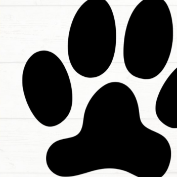 Intra απο ξύλο plywood 3mm-4mm πάχος – Paw Print, DXF, EPS, JPG, PNG Δίασταση 20x20 cm INTRAFABR-115721410 - Image 9