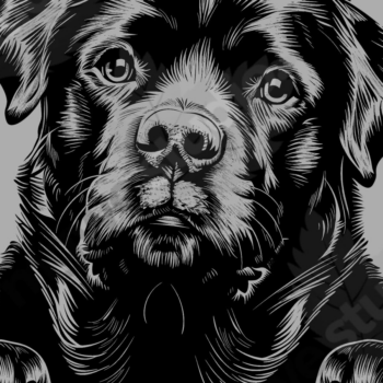 Intra απο ξύλο plywood 3mm-4mm πάχος – Πακέτο Peeking Dog Δίασταση  20x20 cm INTRAFABR-101501637 - Image 4