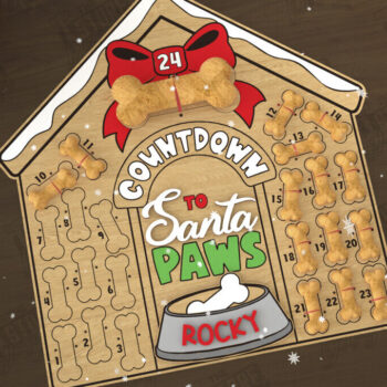 Intra απο ξύλο plywood 3mm-4mm πάχος – Pet Advent Calendar Bundle | Δώρο για κατοικίδια Δίασταση  20x20 cm INTRAFABR-110837974 - Image 5