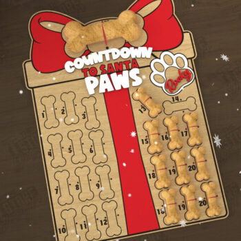 Intra απο ξύλο plywood 3mm-4mm πάχος – Pet Advent Calendar | Λιχουδιές για κατοικίδια Δίασταση  20x20 cm INTRAFABR-110837826 - Image 1
