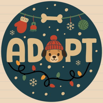 Intra απο ξύλο plywood 3mm-4mm πάχος – Pet Christmas καλωσορίσματος Δίασταση  20x20 cm INTRAFABR-124496483 - Image 2