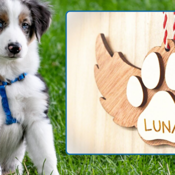 Intra απο ξύλο plywood 3mm-4mm πάχος – Στολίδι αναμνηστικού κατοικίδιου + πρότυπο κόλλησης Δίασταση 20x20 cm INTRAFABR-117110793 - Image 2