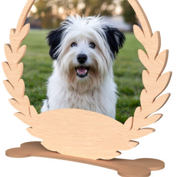 Intra απο ξύλο plywood 3mm-4mm πάχος – Πακέτο Κορνίζας για κατοικίδια Δίασταση  20x20 cm INTRAFABR-110382484 - Image 6