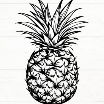 Intra απο ξύλο plywood 3mm-4mm πάχος – Pineapple, DXF, EPS, JPG, PNG Δίασταση  20x20 cm INTRAFABR-115722944 - Image 4