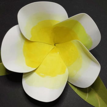 Intra απο ξύλο plywood 3mm-4mm πάχος – Πρότυπο λουλουδιών και καρτών Plumeria Δίασταση  20x20 cm INTRAFABR-32030742 - Image 5