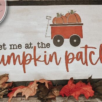 Intra απο ξύλο plywood 3mm-4mm πάχος – Αρχείο κοπής με λέιζερ Patch Pumpkin Patch Δίασταση  20x20 cm INTRAFABR-72566974 - Image 1