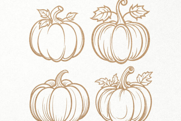 1759052400_Pumpkin-SVG-bundle-Fall-Pumpkin-Outline-Graphics-82434610