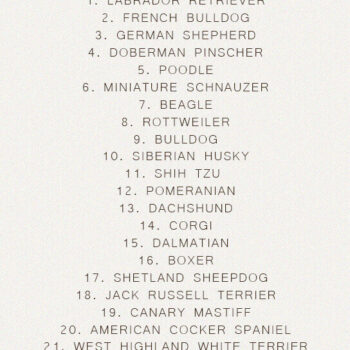 Intra απο ξύλο plywood 3mm-4mm πάχος – Rattan Χριστουγεννιάτικα στολίδια για σκύλους Δίασταση  20x20 cm INTRAFABR-85331368 - Image 4