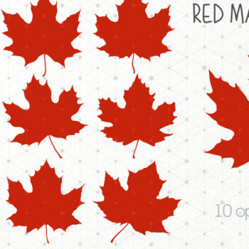 Intra απο ξύλο plywood 3mm-4mm πάχος – Red Maple Leaves, Canada Maple Leaf Δίασταση  20x20 cm INTRAFABR-104605873 - Image 1