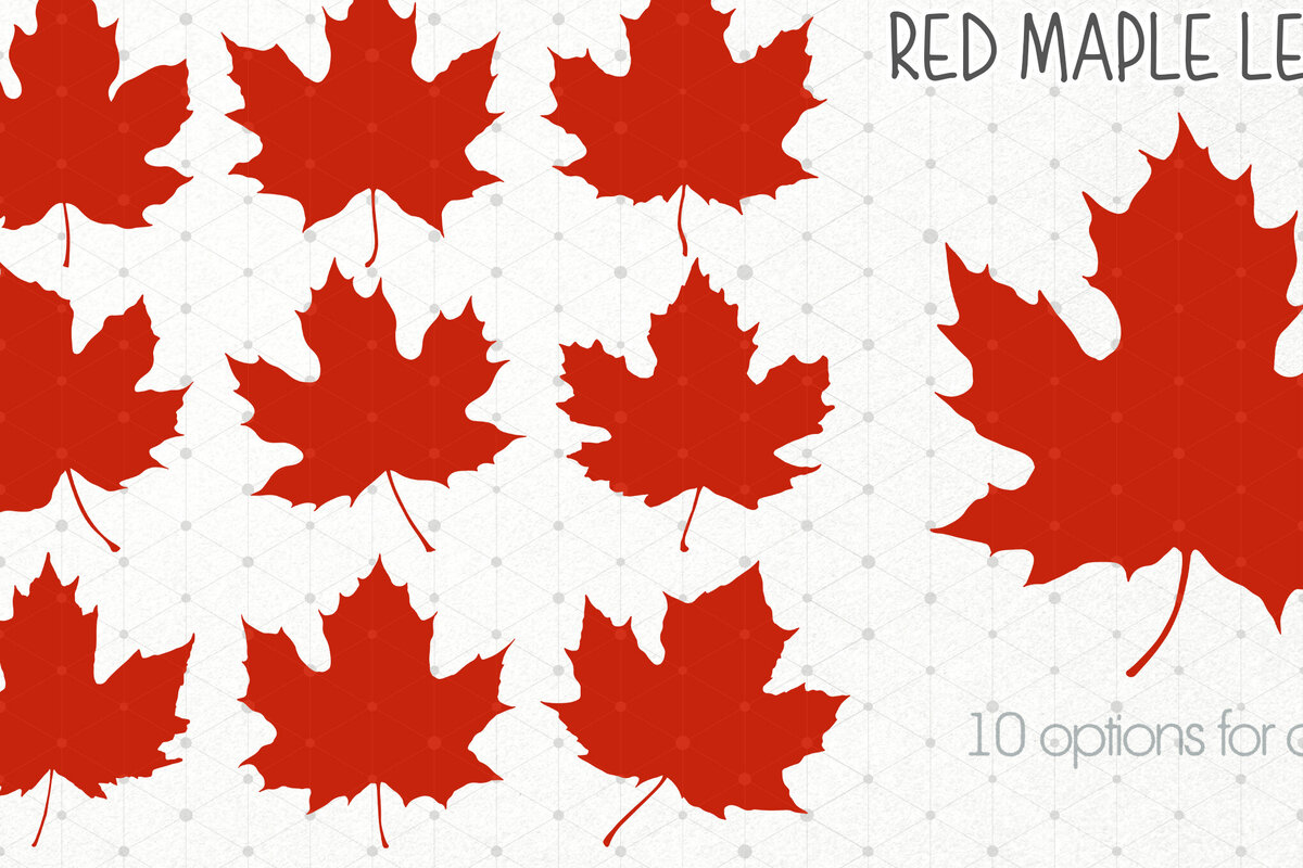 Intra απο ξύλο plywood 3mm-4mm πάχος – Red Maple Leaves, Canada Maple Leaf Δίασταση  20x20 cm INTRAFABR-104605873