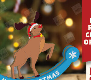 Intra απο ξύλο plywood 3mm-4mm πάχος – Χριστουγεννιάτικο στολίδι Rocking Reindeer Δίασταση  20x20 cm INTRAFABR-110123783