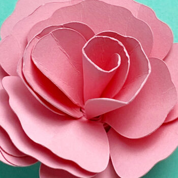 Intra απο ξύλο plywood 3mm-4mm πάχος – Πακέτο Rolled Flowers Δίασταση 20x20 cm INTRAFABR-90356907 - Image 4