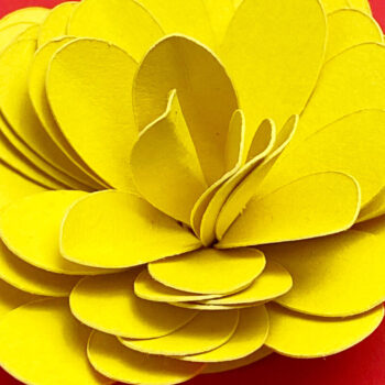 Intra απο ξύλο plywood 3mm-4mm πάχος – Πακέτο Rolled Flowers Δίασταση 20x20 cm INTRAFABR-90356907 - Image 5