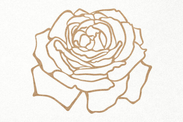 1759056336_Rose-Flower-Graphics-14404677