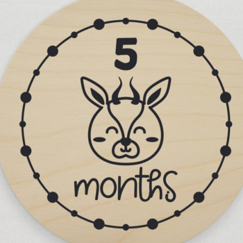 Intra απο ξύλο plywood 3mm-4mm πάχος – Safari Animals Baby Monthly Milestone Δίασταση  20x20 cm INTRAFABR-111581152 - Image 4