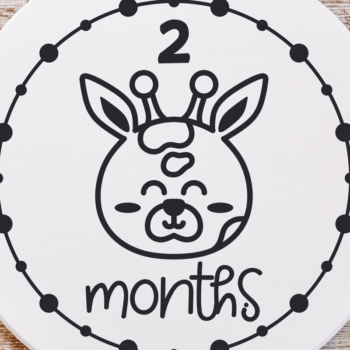 Intra απο ξύλο plywood 3mm-4mm πάχος – Safari Animals Baby Monthly Milestone Δίασταση  20x20 cm INTRAFABR-111581152 - Image 7