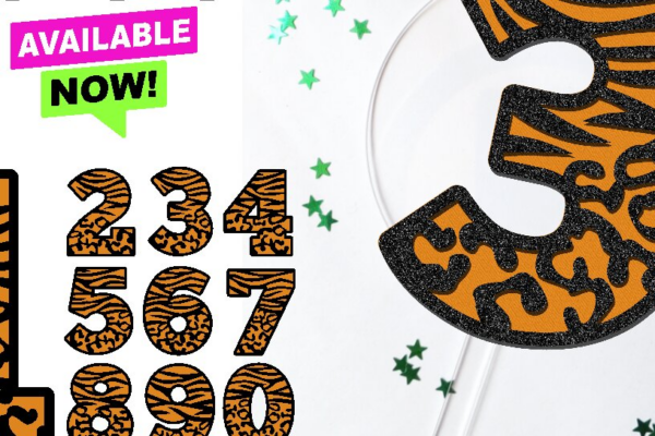 1759057973_Safari-Numbers-3D-SVG-Graphics-102780333-1-1